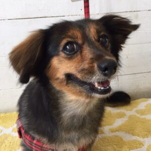 仕上がりミックス