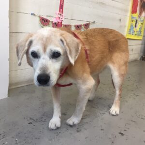 仕上がりミックス