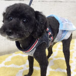 柊ちゃんアイキャッチ