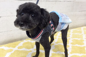 柊ちゃんアイキャッチ