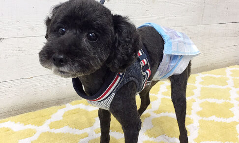 柊ちゃんアイキャッチ