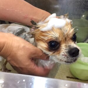 シャンプーミックス