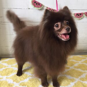 仕上がりミックス