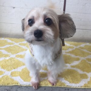 仕上がりミックス