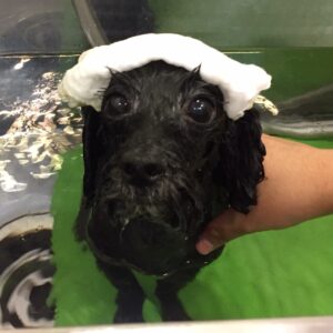 柊ちゃんスパ中