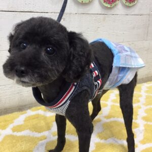 柊ちゃん施術後