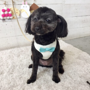 仕上がりミックス