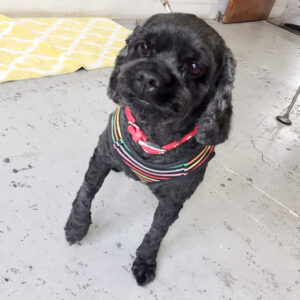 仕上がりミックス