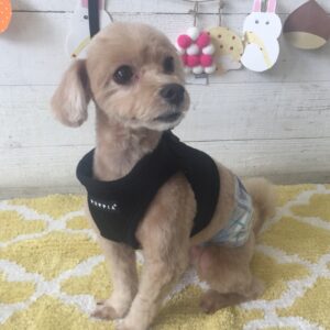 仕上がりミックス