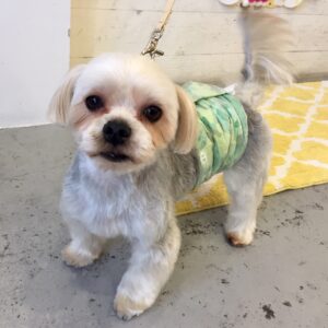 仕上がりミックス