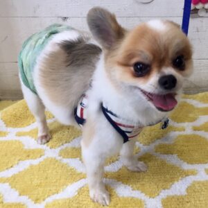 仕上がりミックス