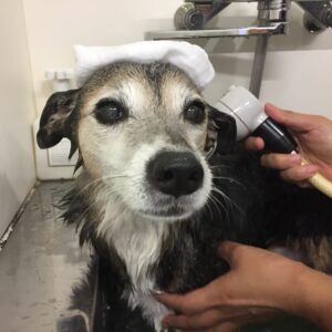 お風呂ミックス