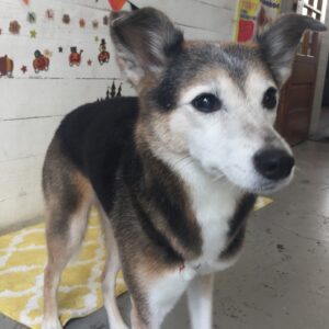 仕上がりミックス