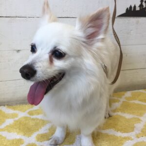 仕上がりミックス