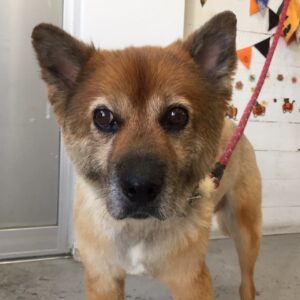 仕上がりミックス