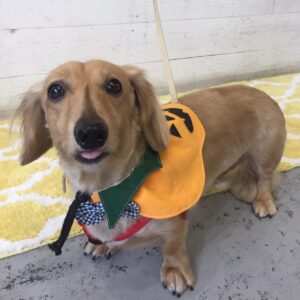 金太郎ちゃん施術後