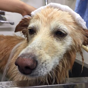 お風呂ミックス