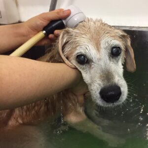 お風呂ミックス