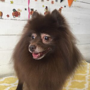 仕上がりミックス