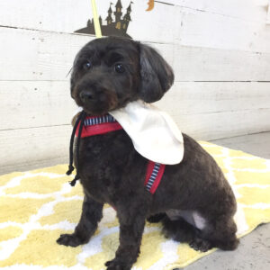 仕上がりミックス