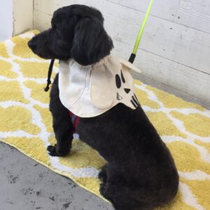 仕上がりミックス後ろ