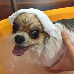 お風呂ミックス