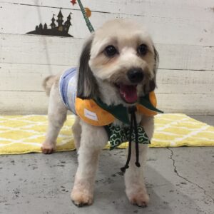 仕上がりミックス