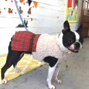 仕上がりボストン