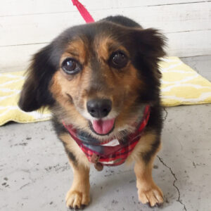 仕上がりミックス