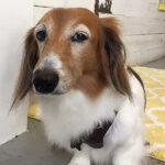 空ちゃんアイキャッチ