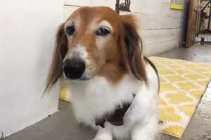 空ちゃんアイキャッチ