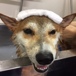 もなちゃんスパ中