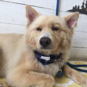 仕上がりミックス