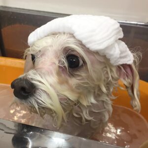 お風呂ミックス