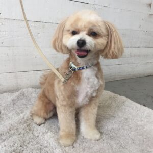 仕上がりミックス