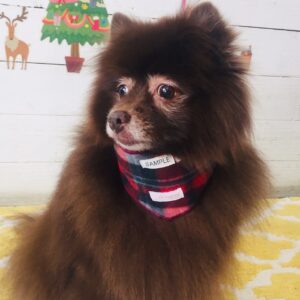 仕上がりミックス