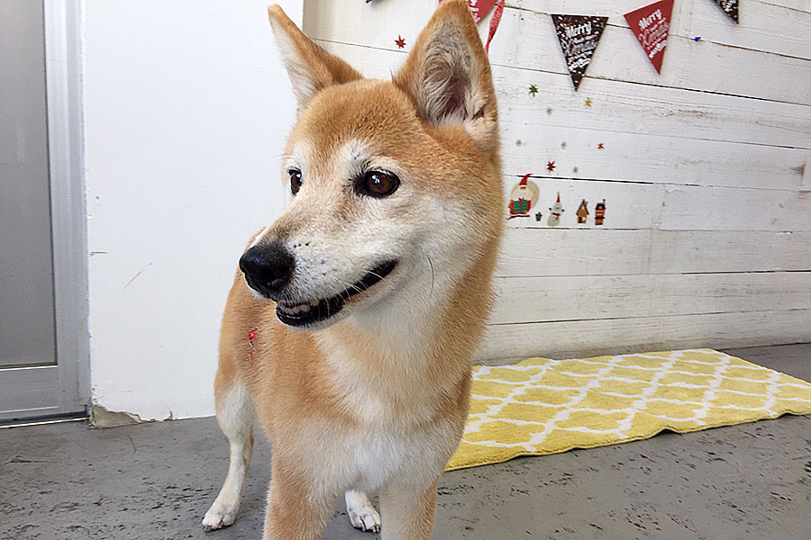 りーちゃんアイキャッチ