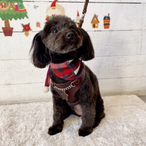 仕上がりミックス