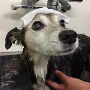 お風呂ミックス