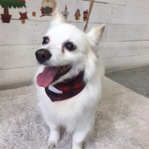 仕上がりミックス