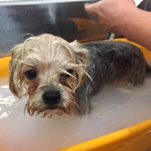 お風呂ミックス