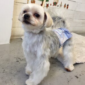 仕上がりミックス