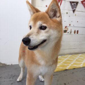 りーちゃん施術後