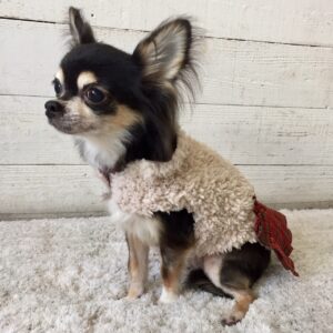 レアちゃん施術後