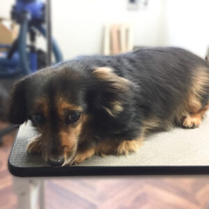 よろしくミックス