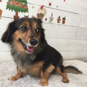 仕上がりミックス