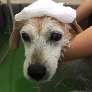 お風呂ミックス