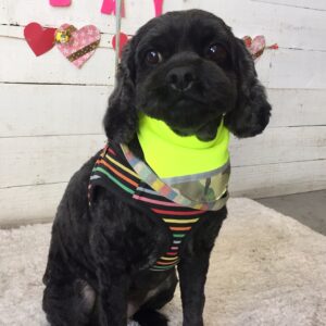 仕上がりミックス