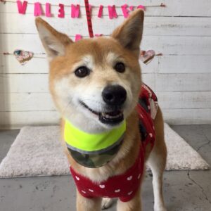 仕上がりミックス