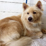 ミキちゃんアイキャッチ